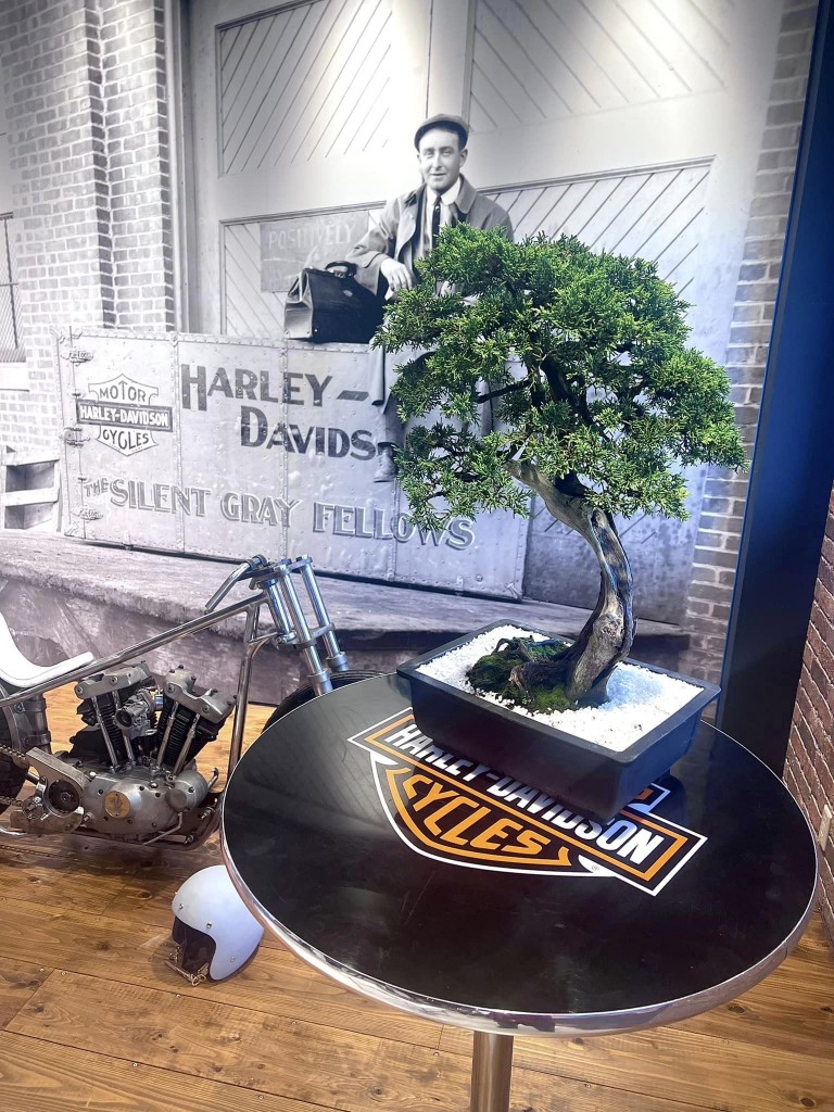 Harley-Davidson SAGA 書道家 アーティスト 盆栽 bonsai 山口芳水 展示会 ハーレーダビッドソン アイアンショベル ironshovel sportster